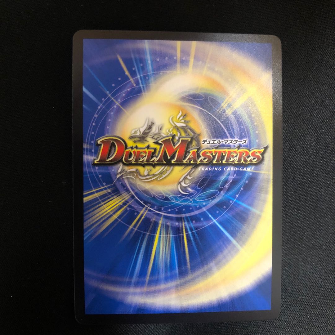 「絶対の楯騎士」