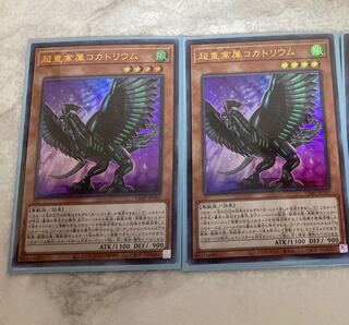 　超重禽属コカトリウム