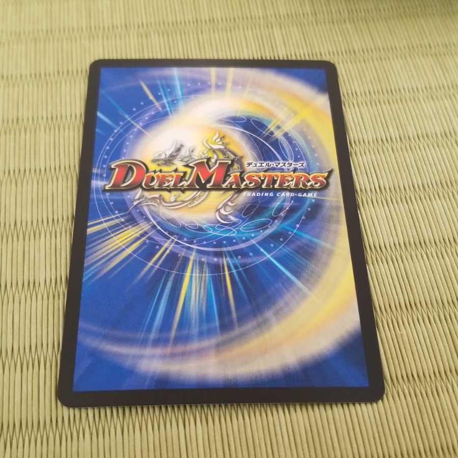 雷龍 ヴァリヴァリウス SR