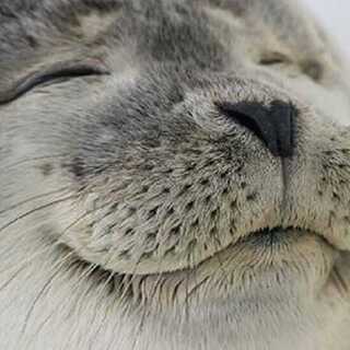 そうよう様専用