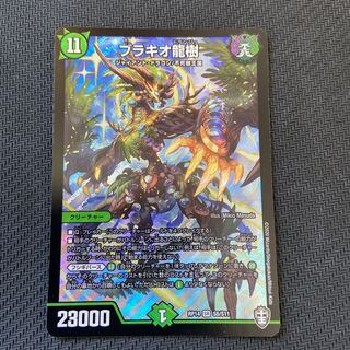 ブツブツ杉岡様 専用