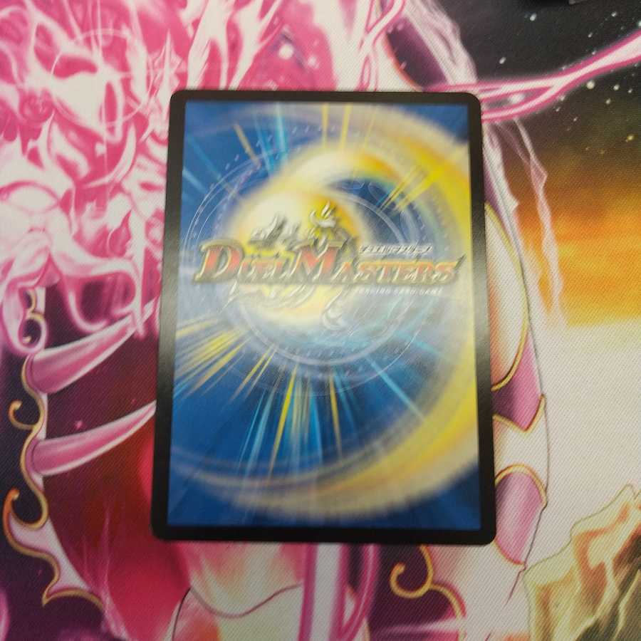 「絶対の楯騎士」