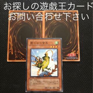 霞の谷の雷鳥　おまけ2枚　ミストバレーの雷鳥