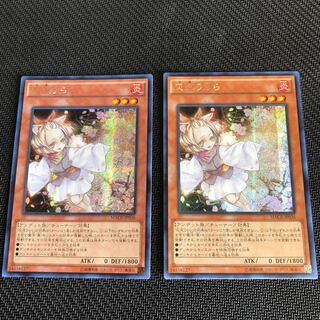 アジア 灰流うらら シークレット