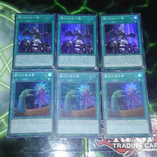 禁じられた一滴　墓穴の指名者　セット