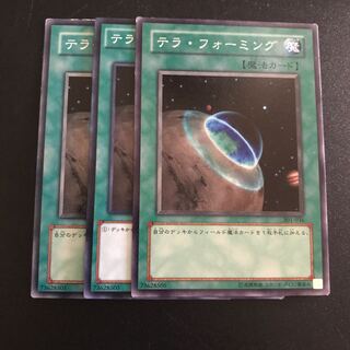 テラ・フォーミング N