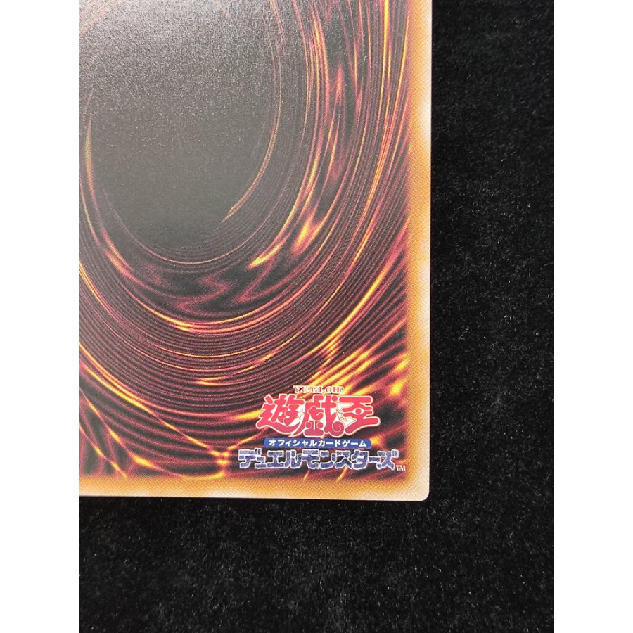 Dragon of Pride and Soul QCSE・25th Secret INFO-JP000 1枚