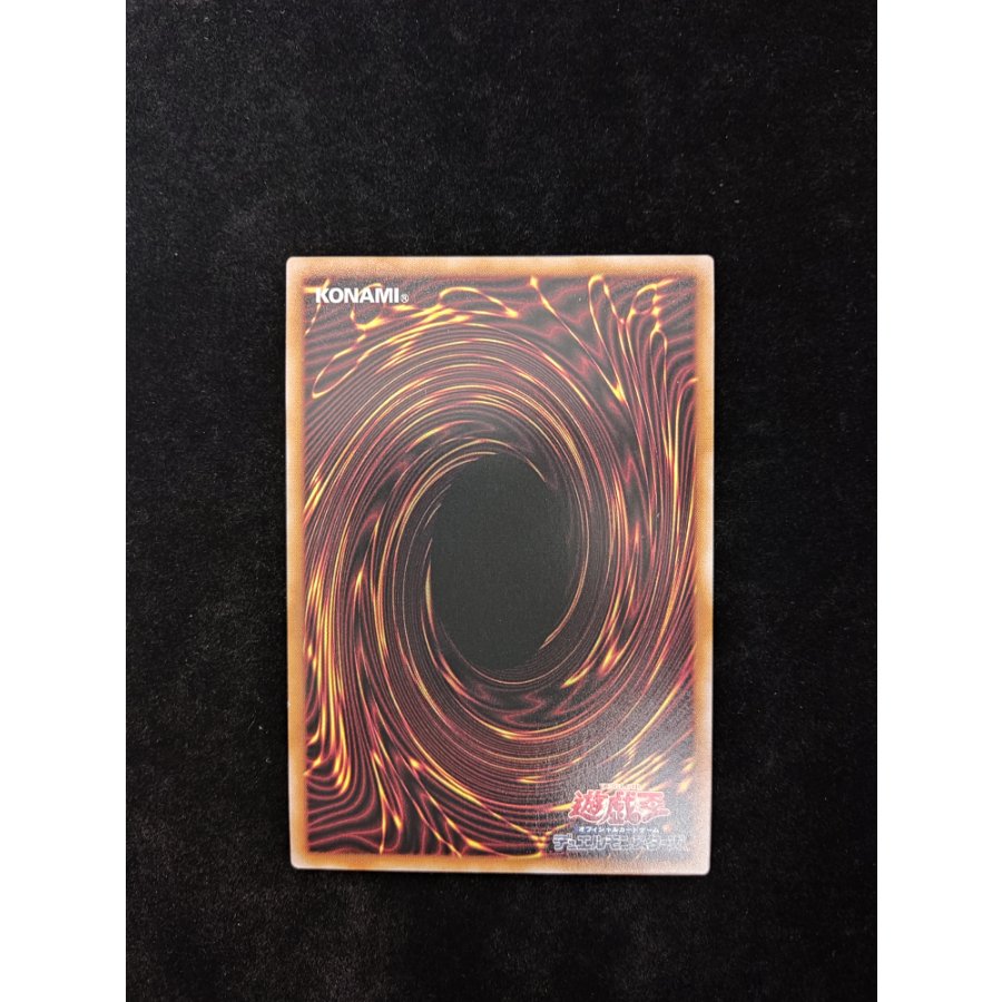 Dragon of Pride and Soul QCSE・25th Secret INFO-JP000 1枚