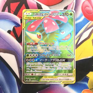 フシギバナ＆ツタージャGX SR 1枚