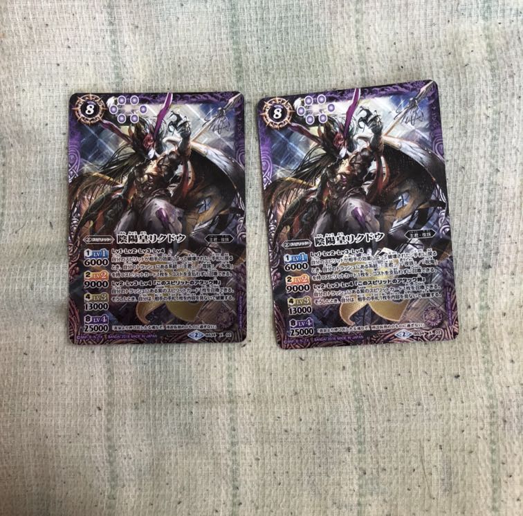 【Ichinotsugi様専用出品】 1枚