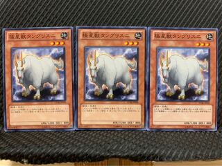 【ぽぽたん】遊戯王 9675 極星獣タングリスニ 3枚 ノーマル