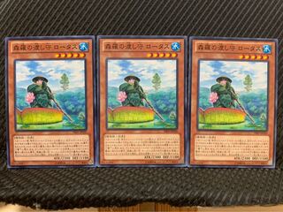 【ぽぽたん】遊戯王 9635 森羅の渡し守 ロータス 3枚 ノーマル