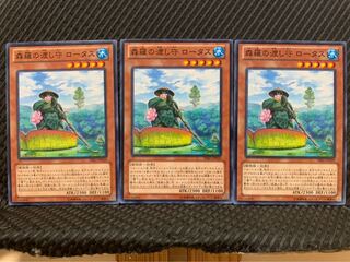 【ぽぽたん】遊戯王 9638 森羅の渡し守 ロータス 3枚 ノーマル