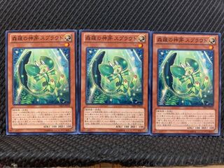 【ぽぽたん】遊戯王 9646 森羅の神芽 スプラウト 3枚 ノーマル