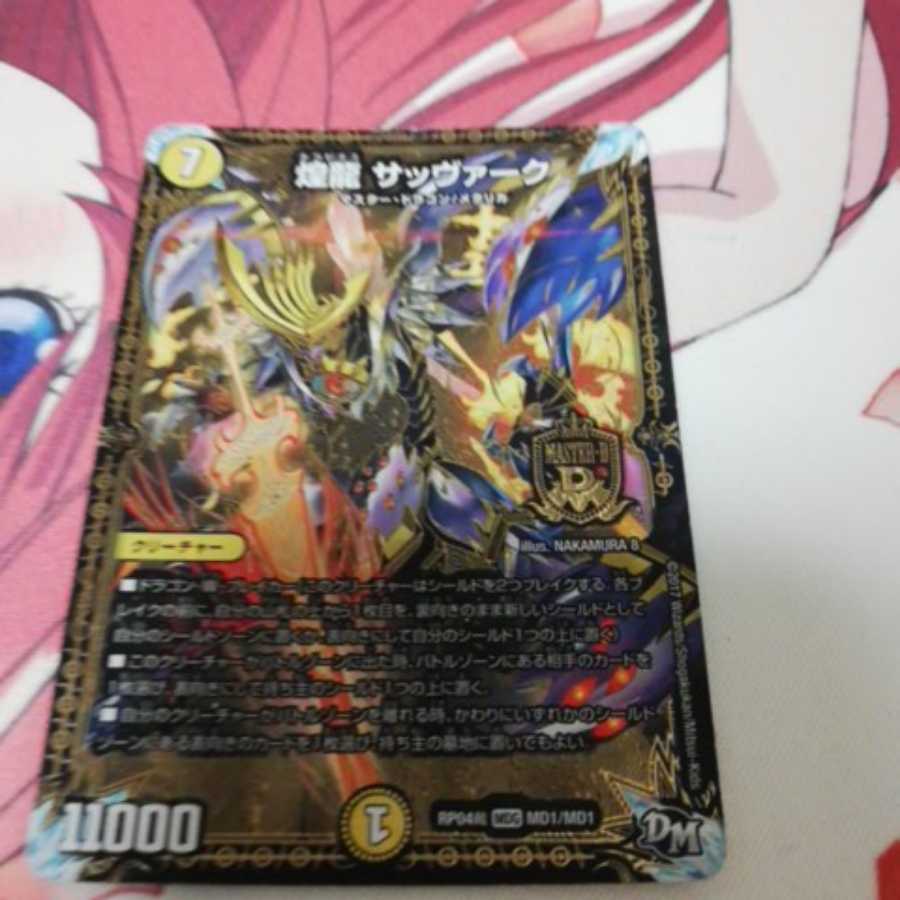 煌龍 サッヴァーク