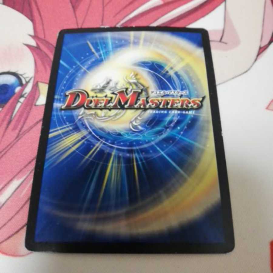 煌龍 サッヴァーク