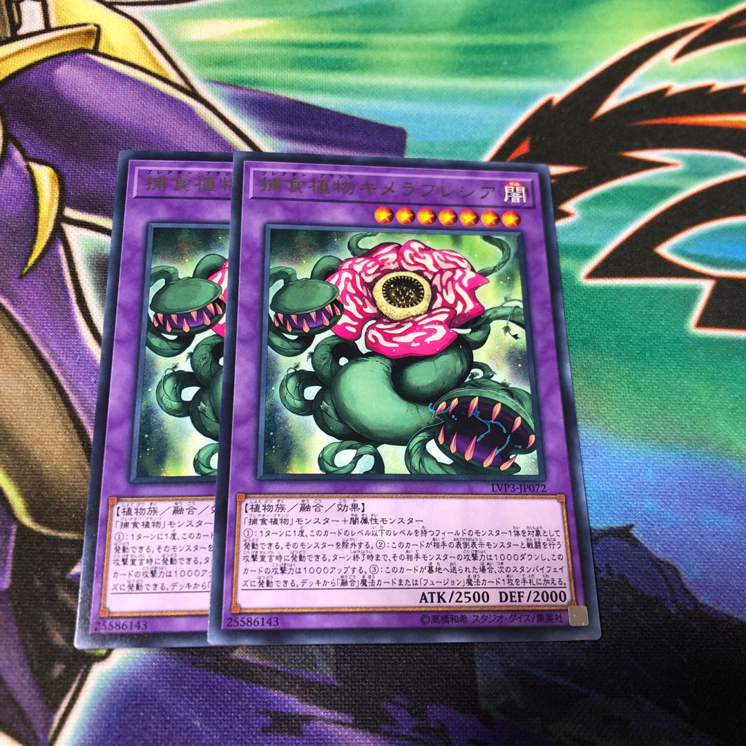 捕食植物キメラフレシア R