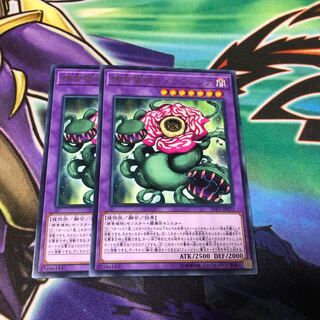 捕食植物キメラフレシア R