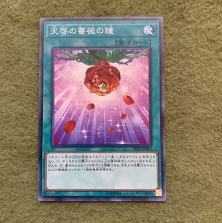 天啓の薔薇の鐘 N