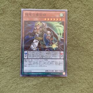 賤竜の魔術師 SR