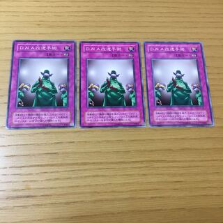 DNA改造手術・ブラックパラディンGSセット