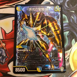 「雷光の聖騎士」