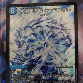 水上第九院 シャコガイル シク　状態悪