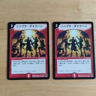 ニンプウ・タイフーン C