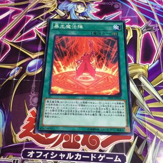 暴走魔法陣【N】