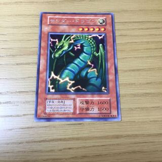 【けんたろー様】サンダー・ドラゴン