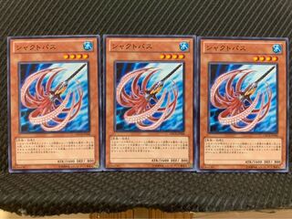 【ぽぽたん】遊戯王 9618 シャクトパス 3枚 ノーマル