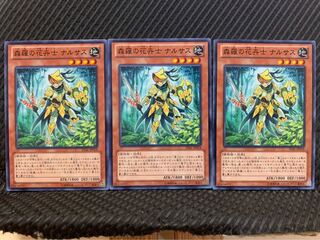 【ぽぽたん】遊戯王 9621 森羅の花卉士 ナルサス 3枚 ノーマル