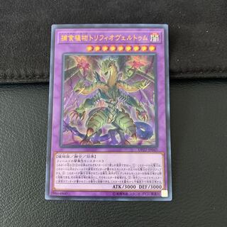 パンダヒーロー様専用捕食植物トリフィオヴェルトゥム UR