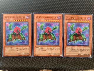 【ぽぽたん】遊戯王 9712 スプリット・D・ローズ 3枚 ノーマル
