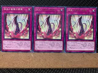 【ぽぽたん】遊戯王 748 漆黒の薔薇の開華 3枚 レア