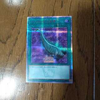 ハーピィの羽根帚 20thSE