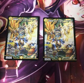 神聖龍 エモーショナル・ハードコア 2枚