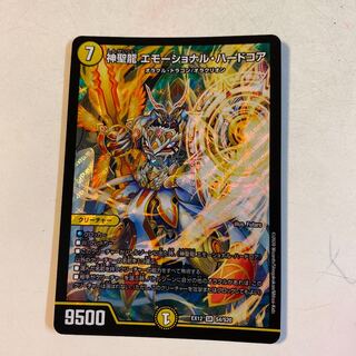 神聖龍 エモーショナル・ハードコア