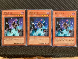 【ぽぽたん】遊戯王 9781 再生ミイラ 3枚 ノーマル