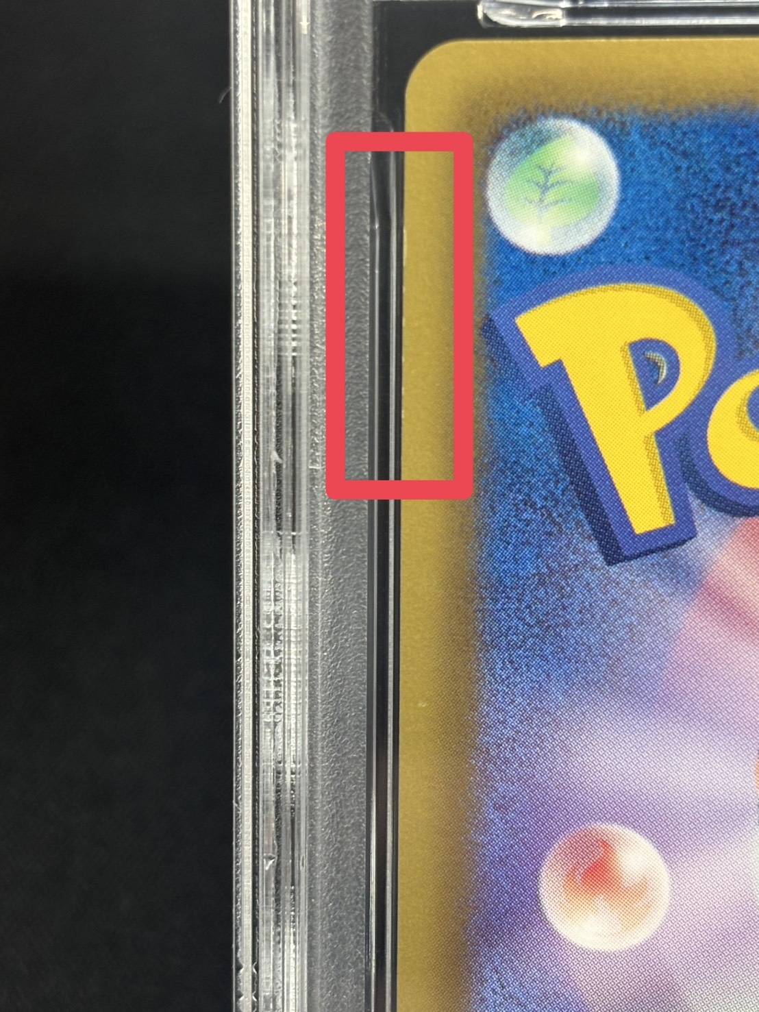 [*Condition: Poor / PSA 10 Certified] Pikachu [P] {229/BW-P} 1枚