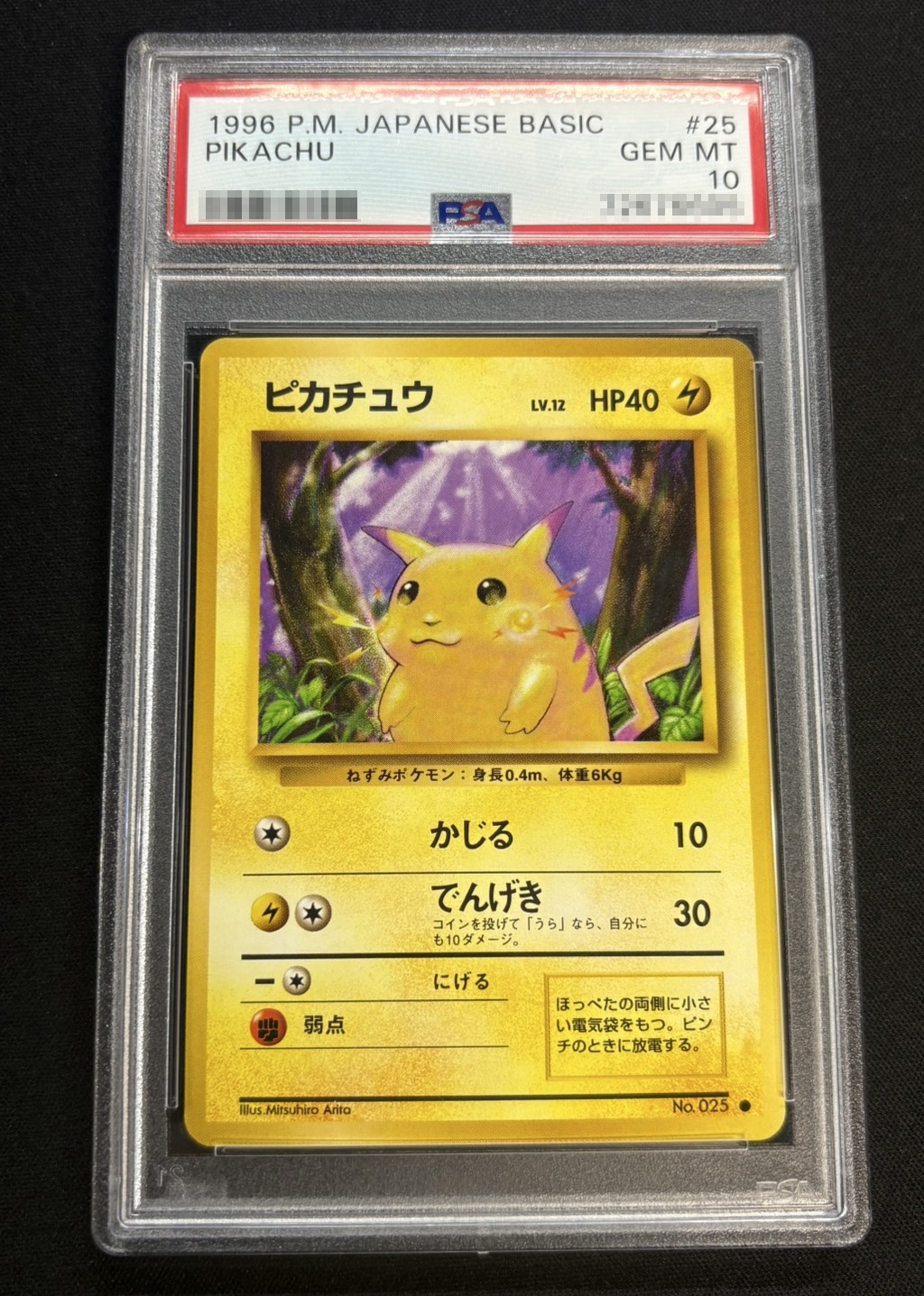 [*In Poor Condition / PSA 10 Certified] Pikachu LV.12 (With Mark) [●] {Original Back} 1枚