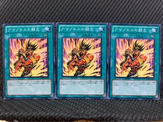 【ぽぽたん】遊戯王 9765 アマゾネスの闘志 3枚 ノーマル