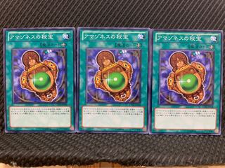 【ぽぽたん】遊戯王 9769 アマゾネスの秘宝 3枚 ノーマル