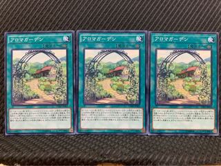 【ぽぽたん】遊戯王 9773 アロマガーデン 3枚 ノーマル