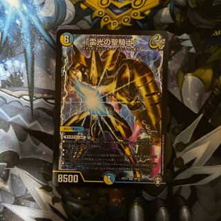 「雷光の聖騎士」