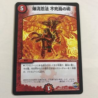 爆流忍法 不死鳥の術