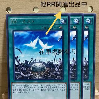 RR-ネスト R 3枚セット