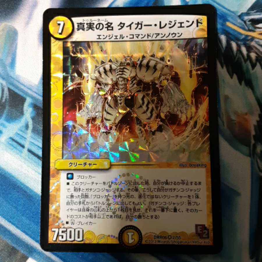真実の名 タイガー・レジェンド 1枚