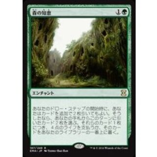 [EX+]森の知恵/Sylvan Library《日本語》【EMA】 1枚