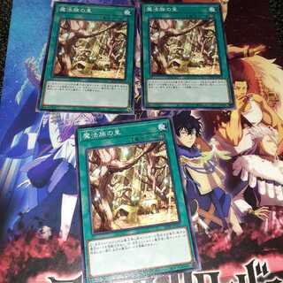 魔法族の里　セット